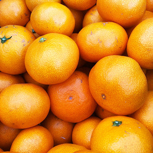 ※　柑橘ソムリエ　温州みかん　約1kg(9～14玉)